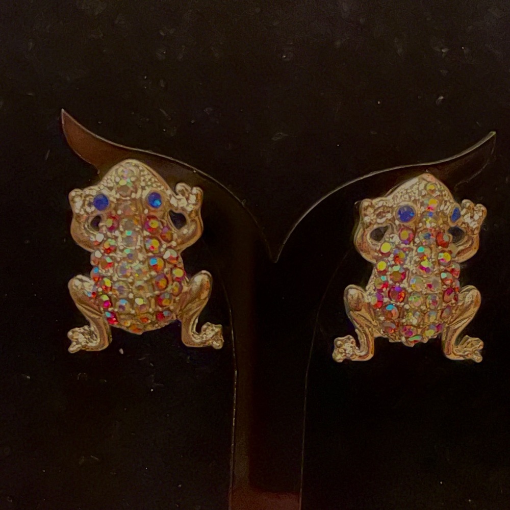Silver FROG 🐸 Earrings